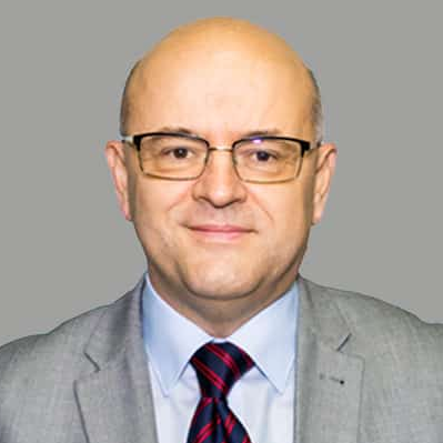 Prof. Dr. Mircea Radu Georgescu avatar image