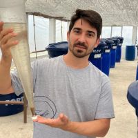 Dr. Adolfo Jatobá avatar image