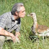 Dr. Robert Rutkowski avatar image