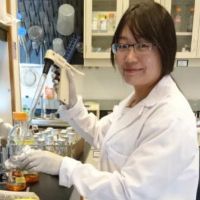 Dr. Jing Hong avatar image