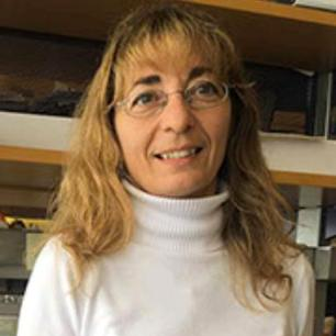 Dr. Loredana Moro avatar image