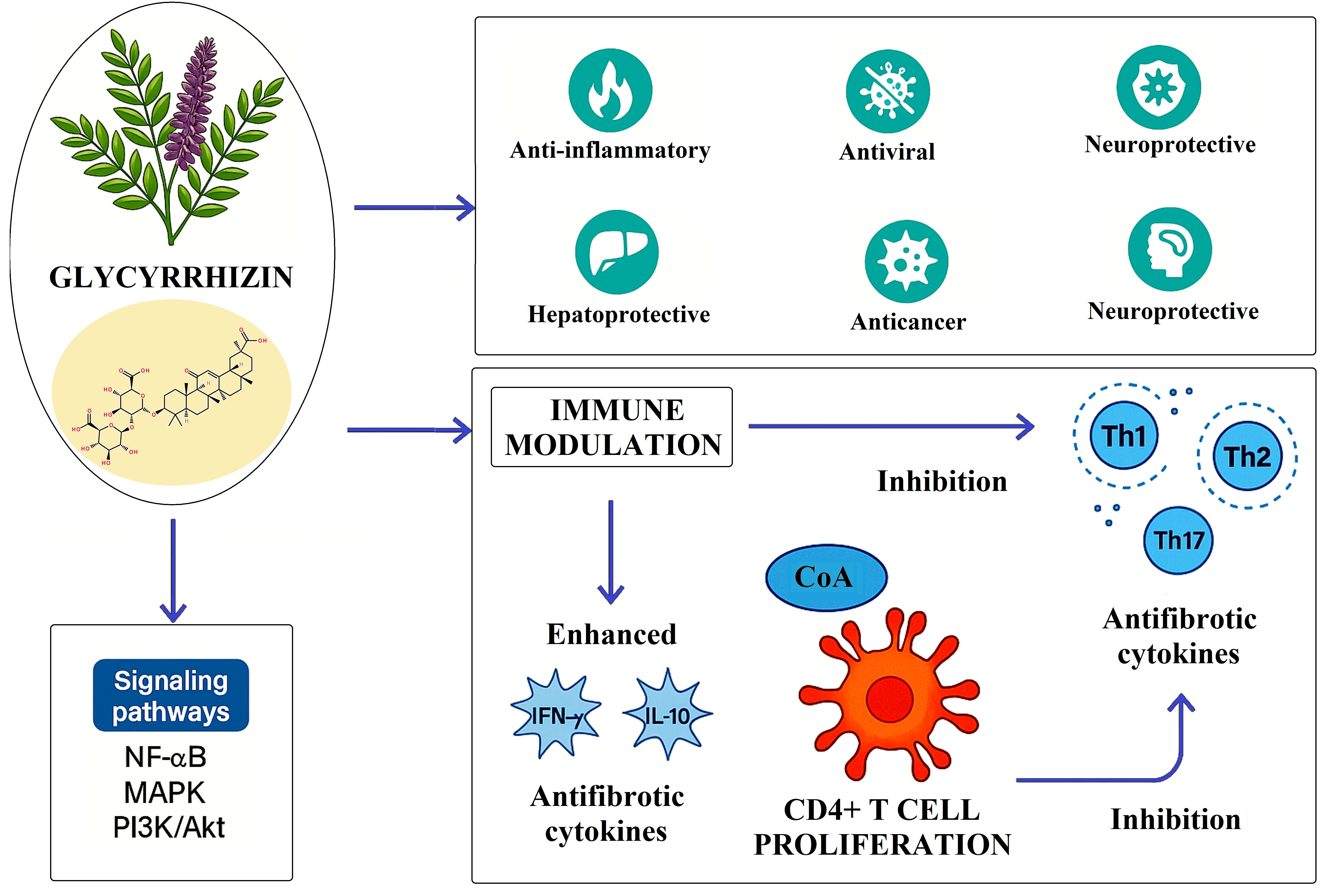 パン バックパッキング クッキングセット | 折りたたみキャンプパン