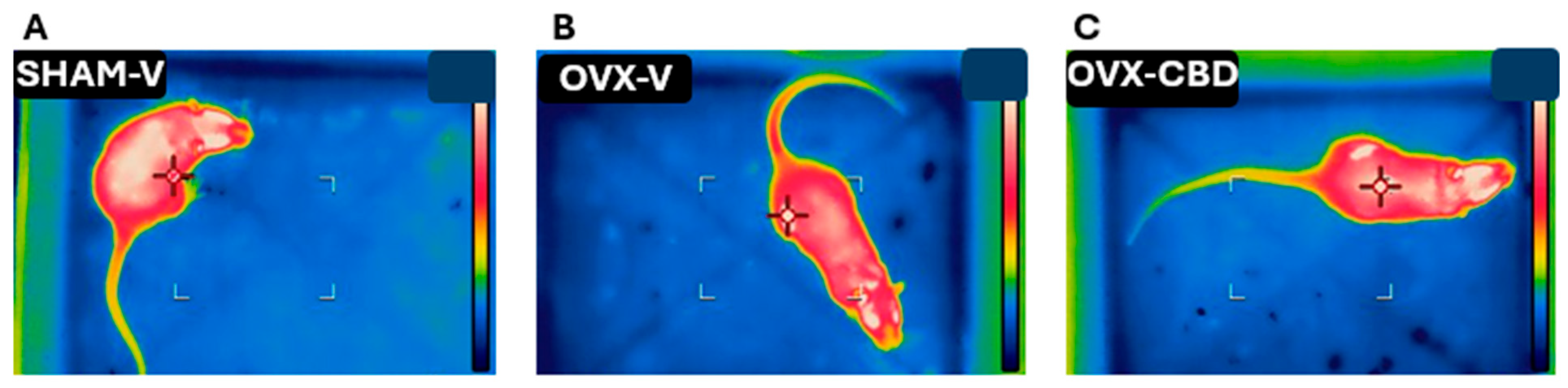 Cannabidiol Prevents Ovariectomy-Induced Thermoregulatory Dysfunction ...