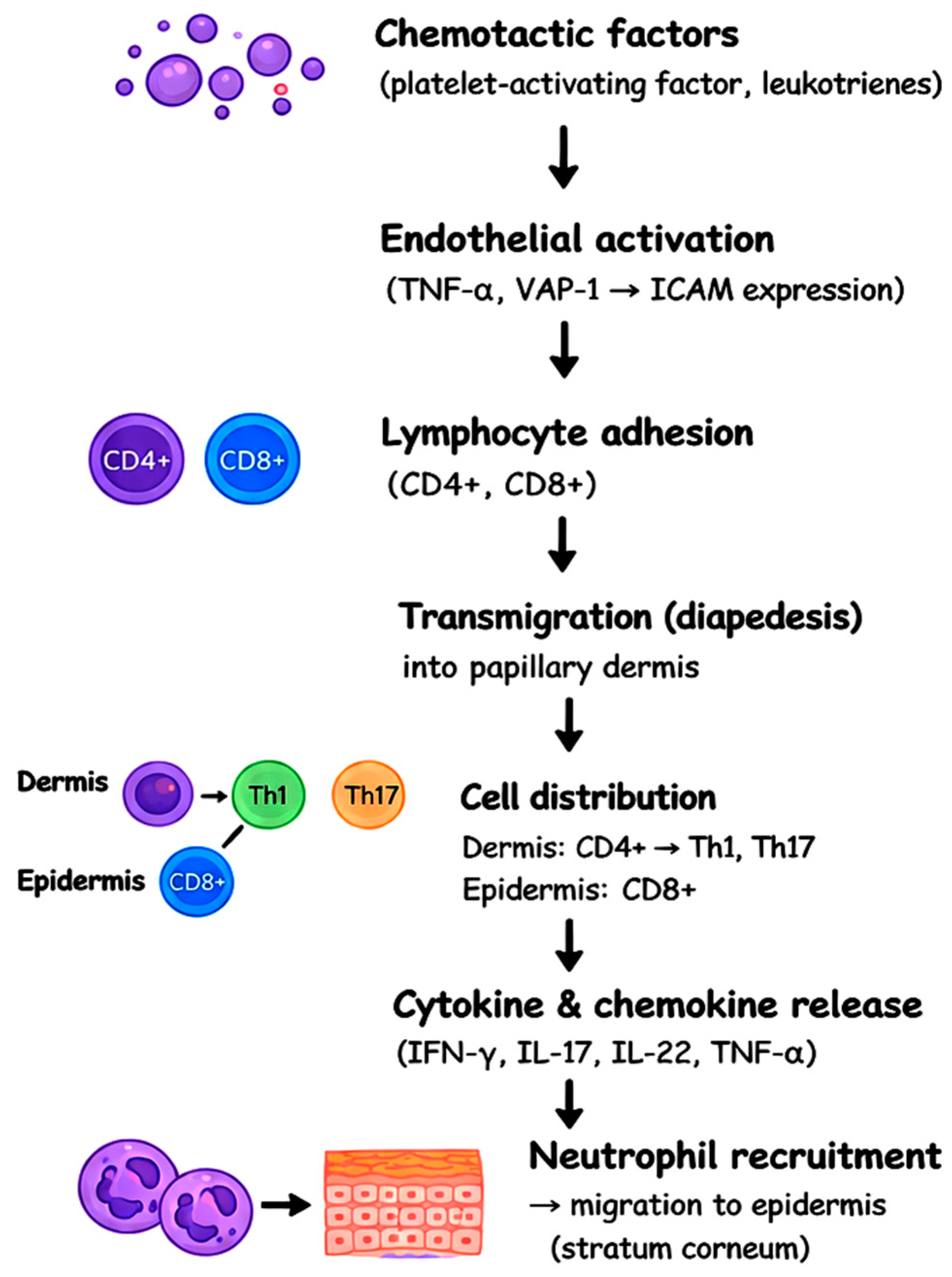 The Cutaneous Immune Microenvironment in Selected Inflammatory Skin ...