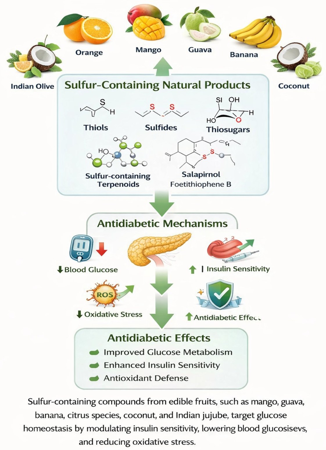QSAR Insights into Antidiabetic Activity of Natural Sulfur-Containing ...