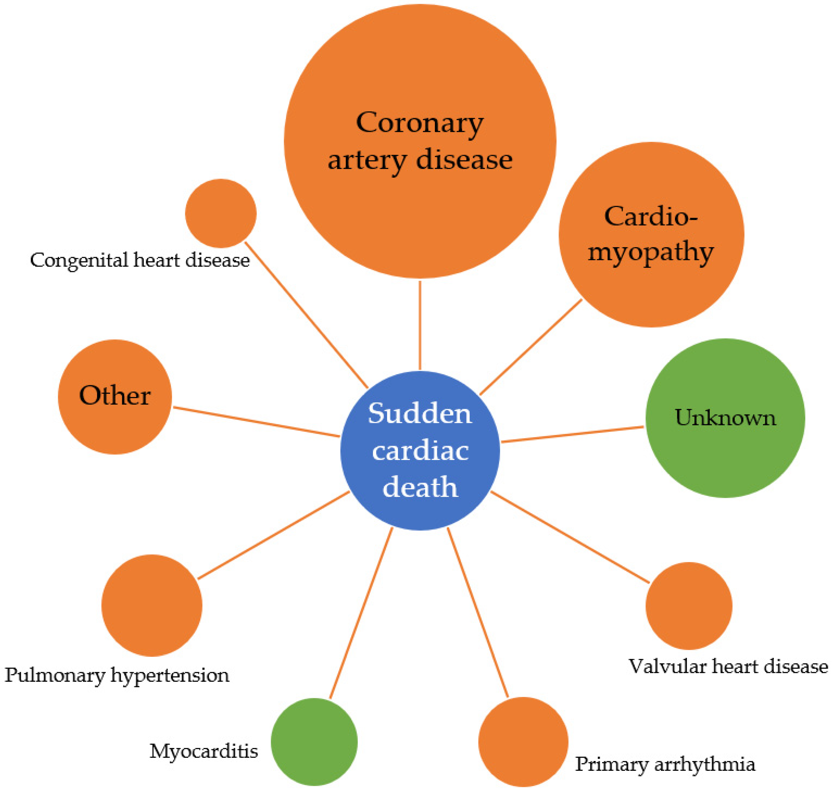 Diagnostics Free Full Text Sudden Cardiac Death In Systemic 