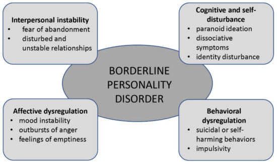 borderline personality disorder symptoms research paper