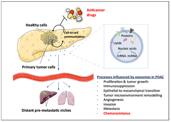 Diagnostics | Free Full-Text | Potential Role of Exosomes in the ...