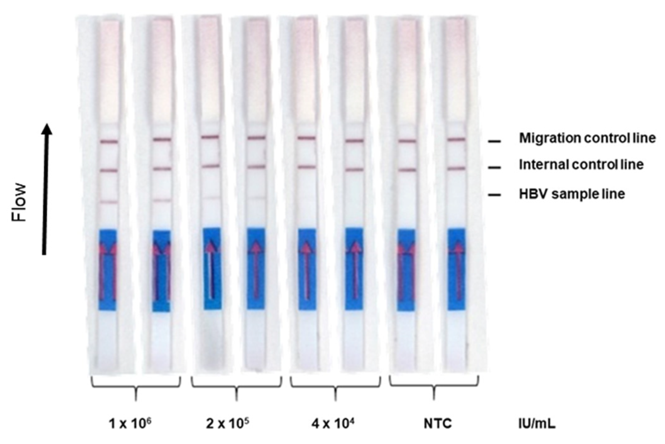 Diagnostics | Free Full-Text | Rapid Diagnostic Test For Hepatitis B ...