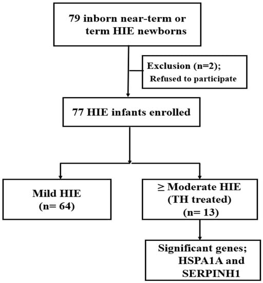 Diagnostics | Special Issue : Advanced Neuroimaging In Fetal, Neonatal ...