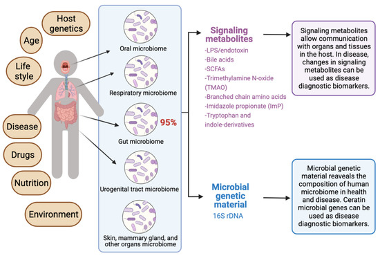 Diagnostics | Free Full-Text | Unlocking the Potential of the Human ...