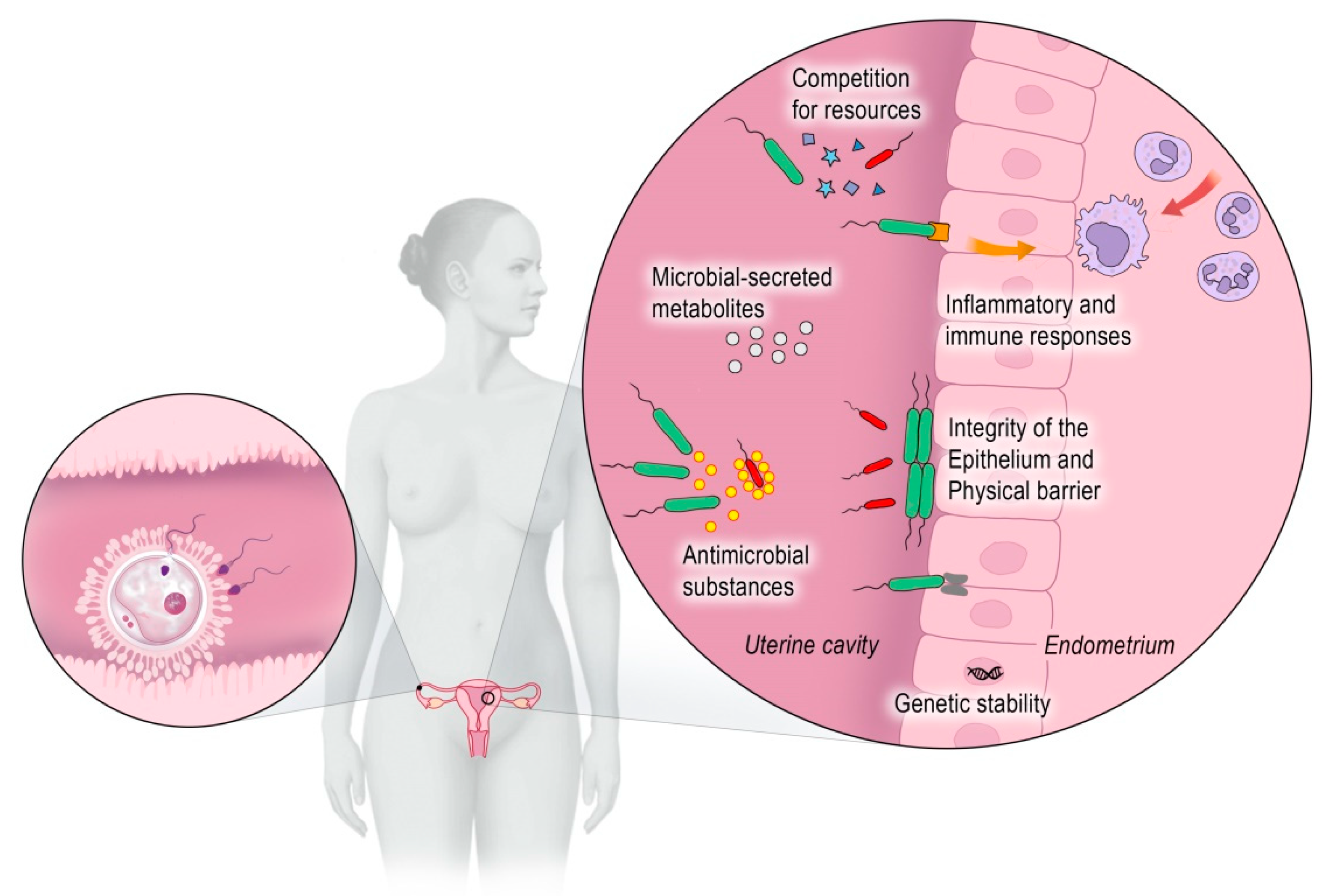 Virtual Sexual Behavior And Its Cerebral And Microbiological Impacts On Virtual Sexual Behavior And Its Cerebral And Microbiological Impacts On