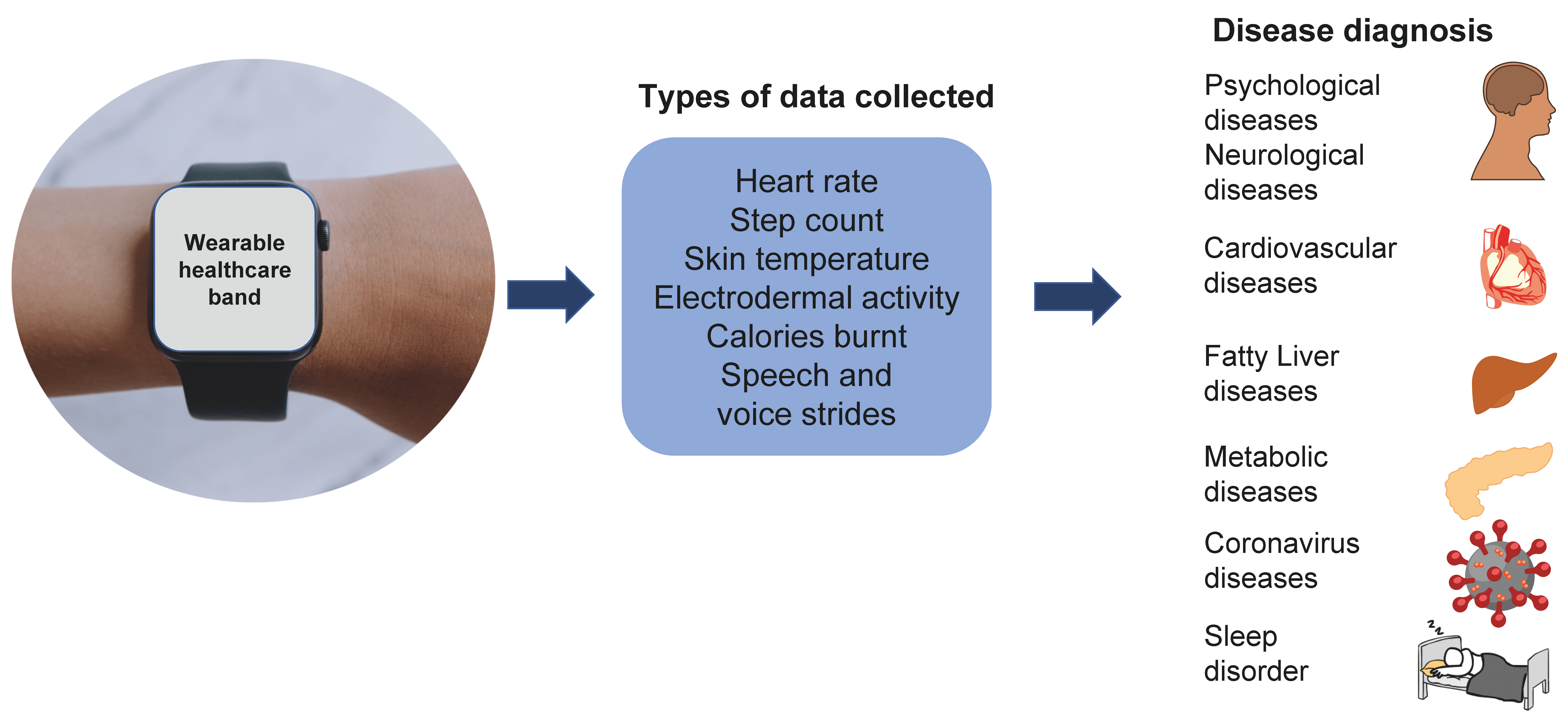 Sunny Health & Fitness Advanced BMI Bathroom Scale with 20 Metric Health Tracker & Analyzer App