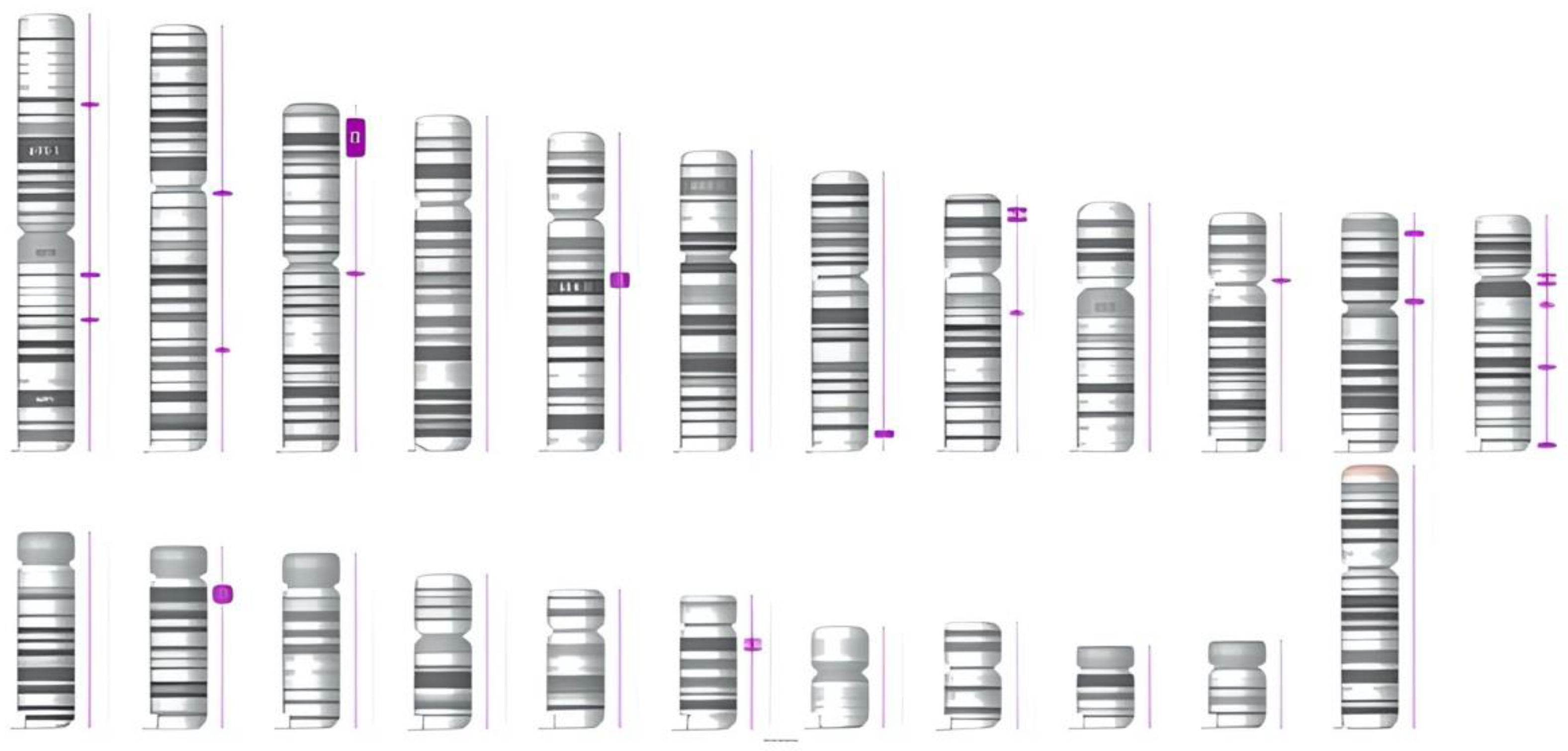 Diagnostics | Free Full-Text | Complete Pseudo-Anodontia in an Adult ...