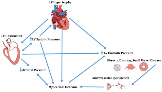 Diagnostics | Free Full-Text | Diagnosis and Clinical Implication of ...