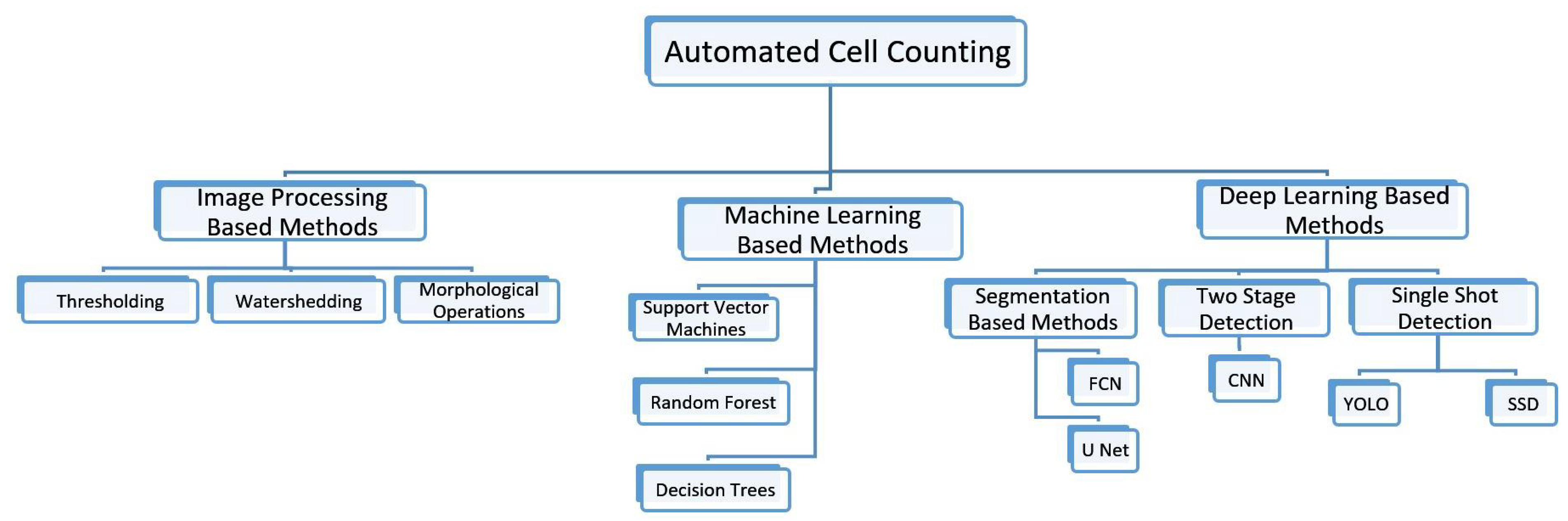 U-Net: deep learning for cell counting, detection, and morphometry