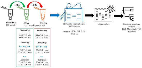 Diagnostics | Free Full-Text | A Two-Step Single Plex PCR Method for ...