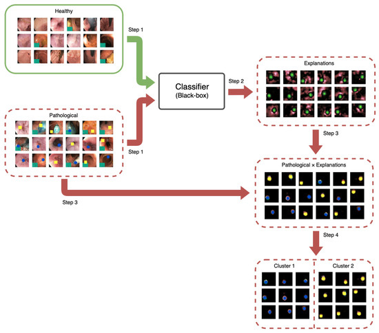 Diagnostics | Free Full-Text | A Deep Diagnostic Framework Using ...