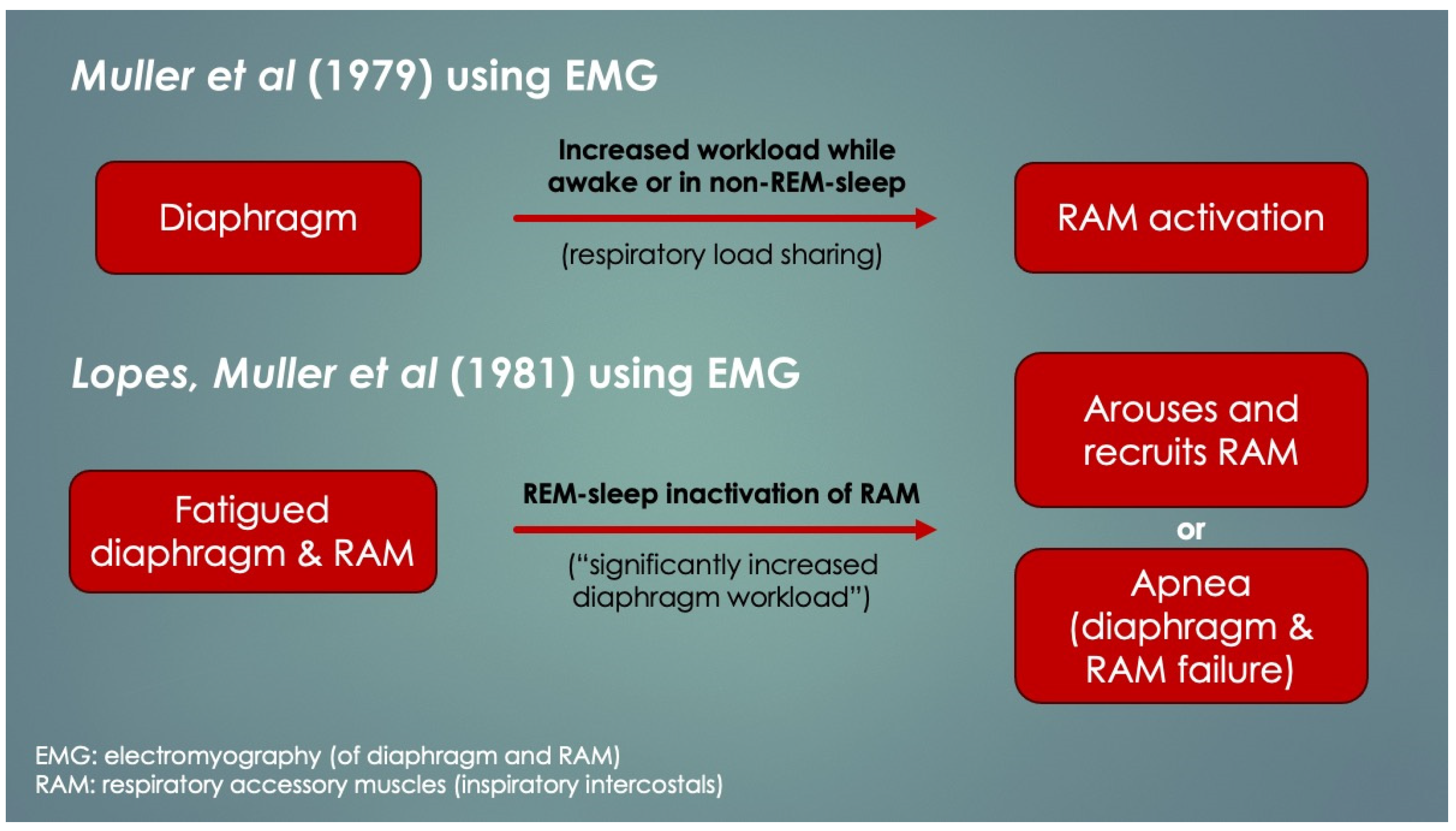 Uncovering Diaphragm Cramp in SIDS and Other Sudden Unexpected Deaths