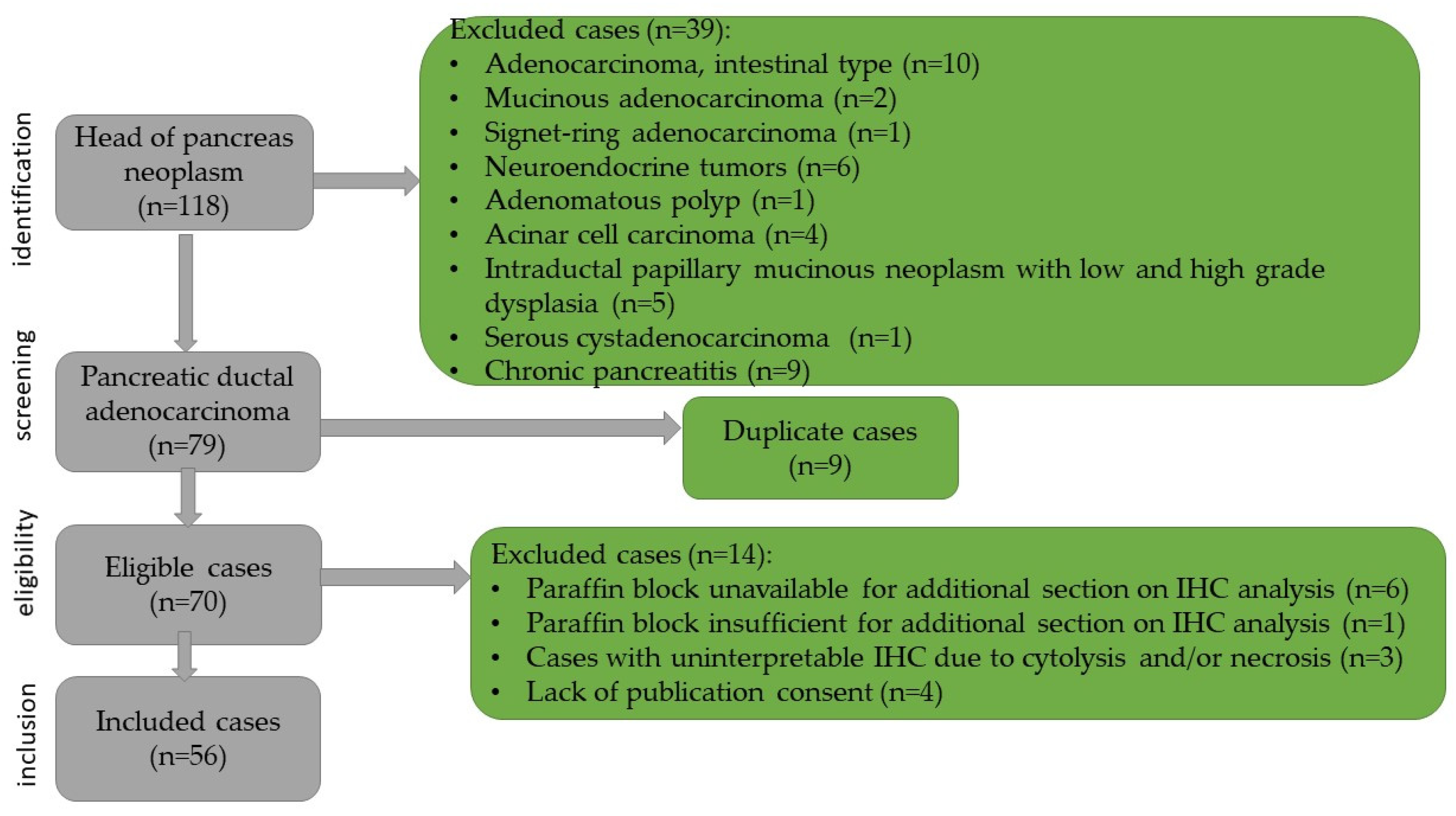 Immunohistochemical Evaluation of the Tumor Immune Microenvironment in ...