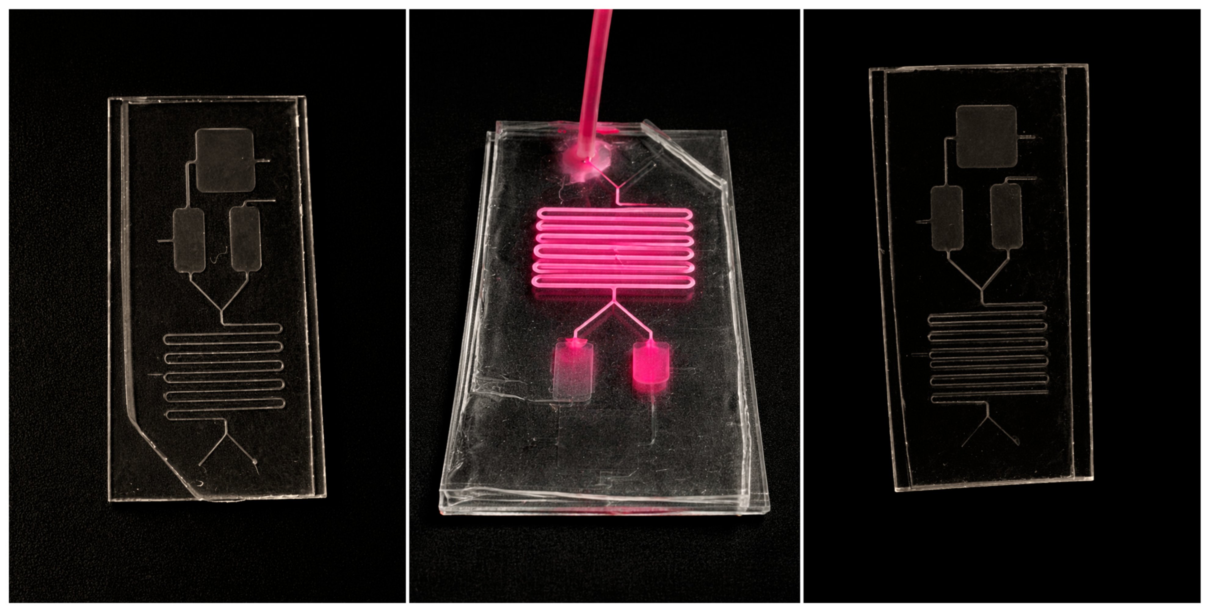 Magnetic Nanoparticle-Integrated Microfluidic Chip Enables Reliable ...