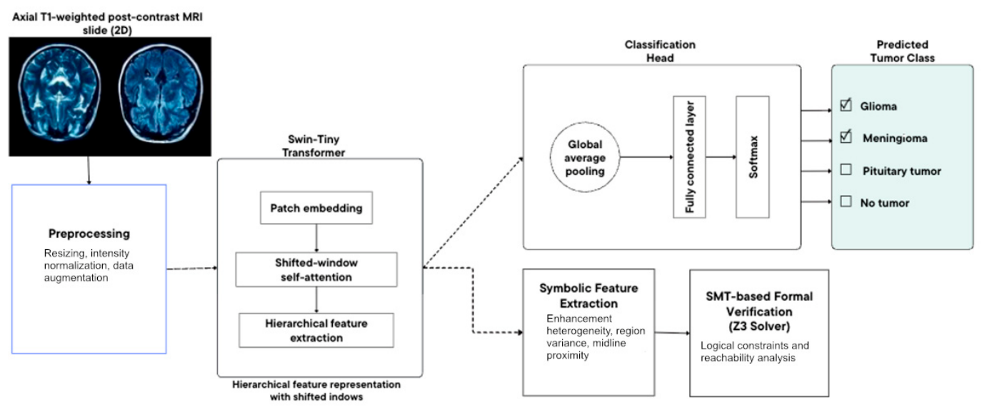 A Verifiable Framework for Brain Tumor Classification: Combining Vision ...
