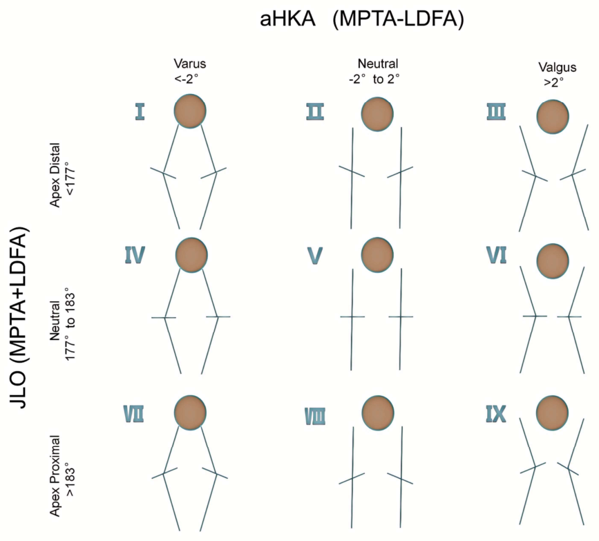 Deep Learning-Based Full-Process Automatic CPAK Classification System ...