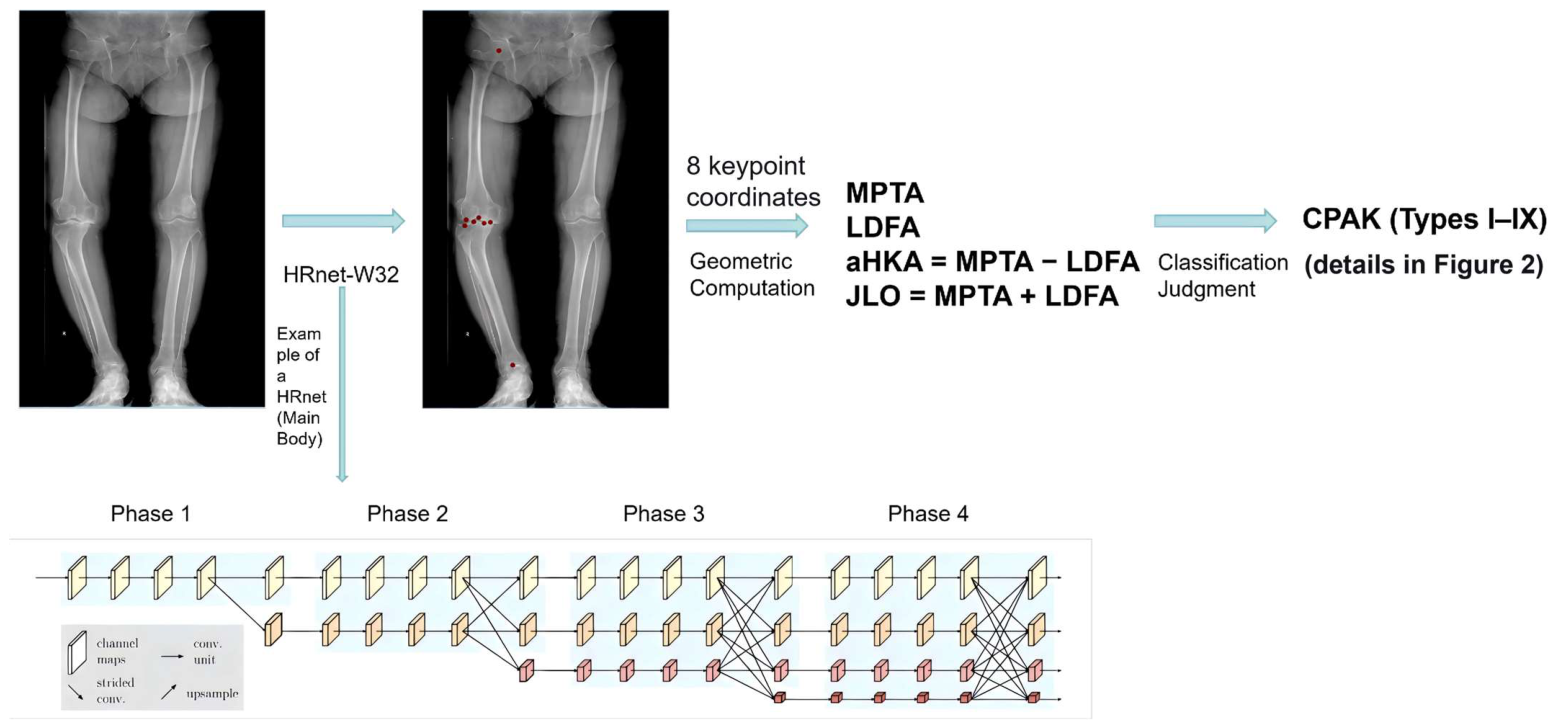 Deep Learning-Based Full-Process Automatic CPAK Classification System ...