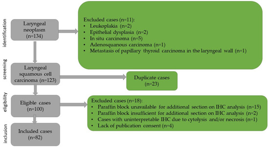 Immunohistochemical Study of the Tumor Immune Microenvironment in Laryngeal Squamous Cell Carcinoma and Its Prognostic Implications