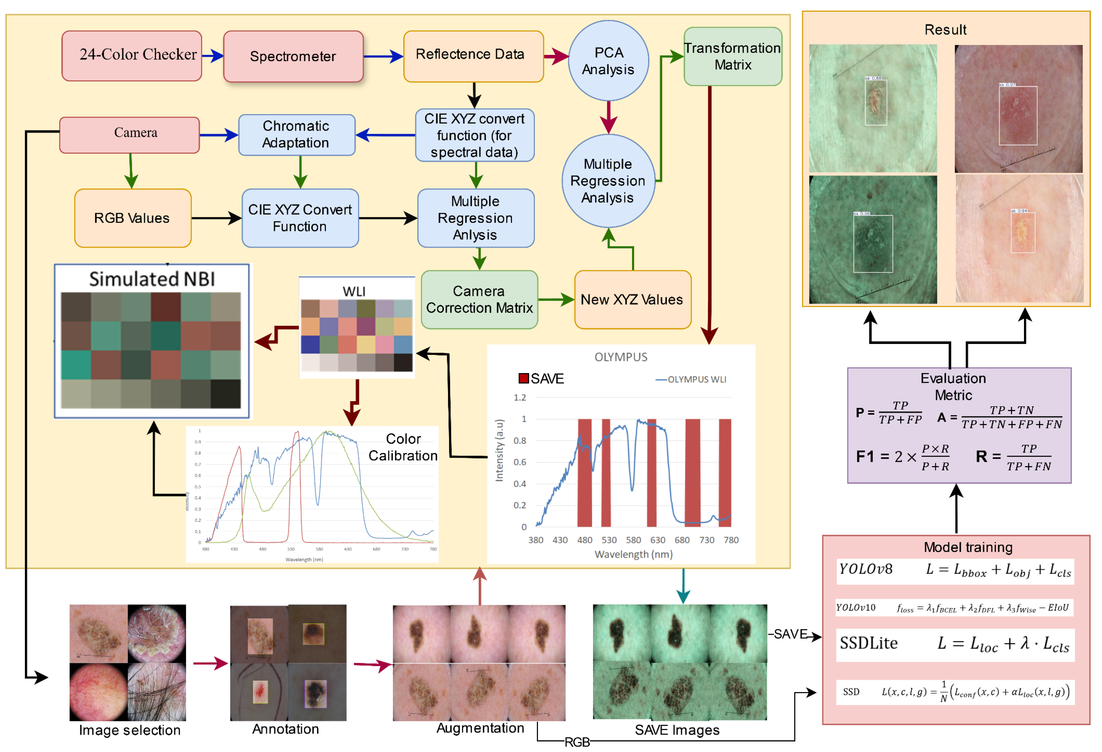 SAVE: Spectrum-Aided Visual Enhancement for AI-Based Skin Cancer Detection