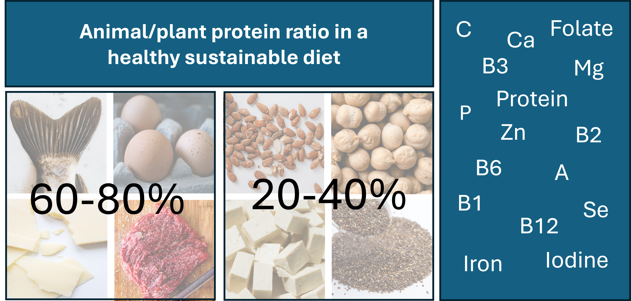 Protein Source and Micronutrient Adequacy in Australian