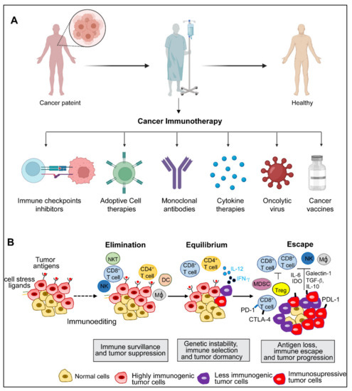 Diseases | Free Full-Text | Emerging Trends in Immunotherapy for Cancer