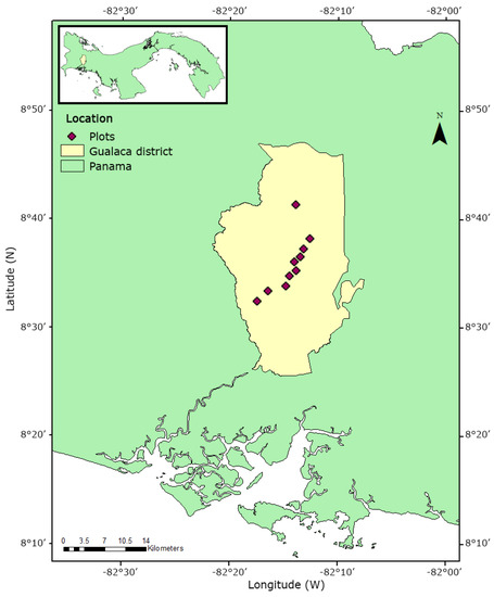 Vascular Epiphyte Assemblages on Isolated Trees along an Elevational ...