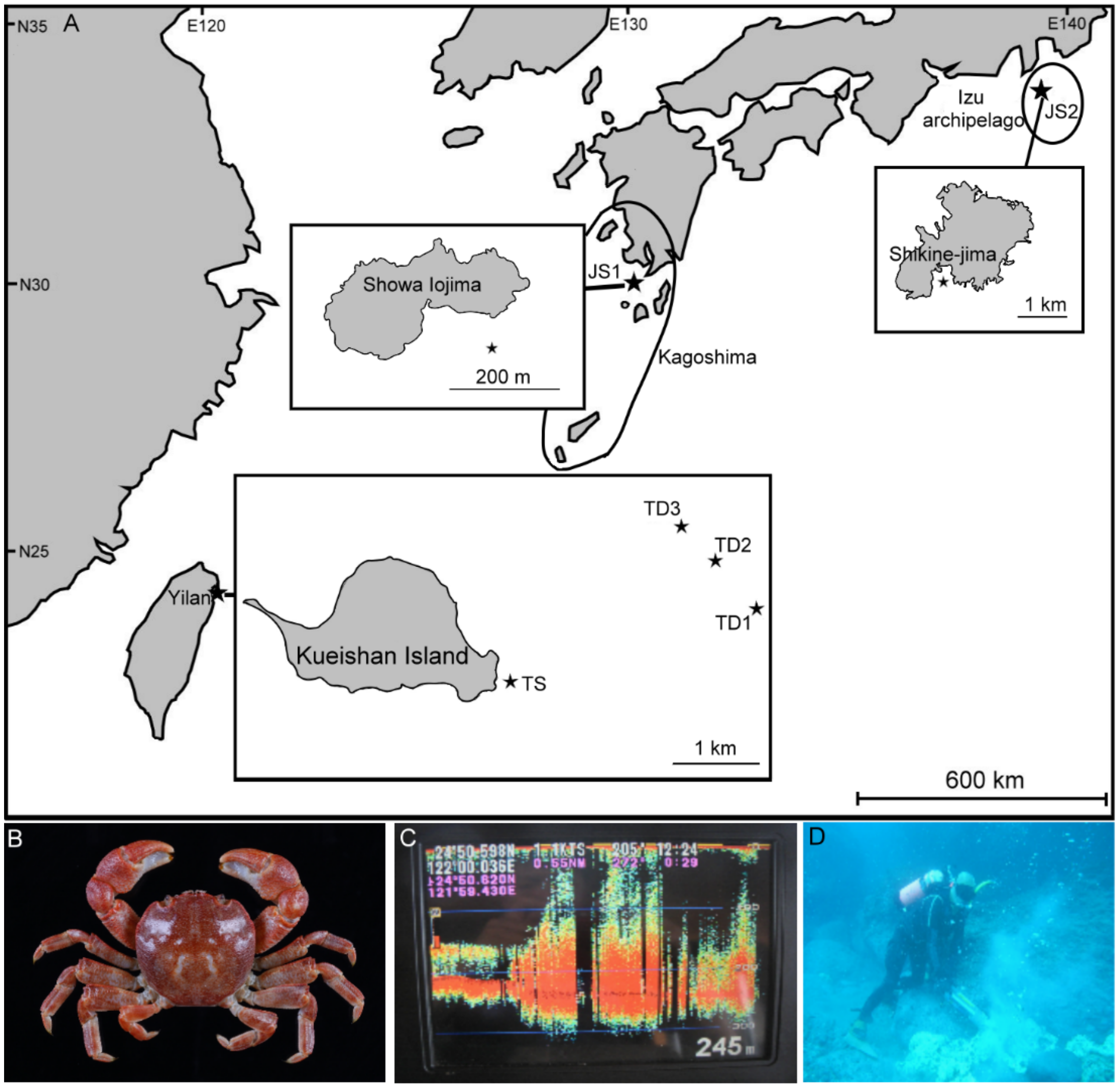 The density of the crustaceans (Crustacea) of the DCS based on Triple-D