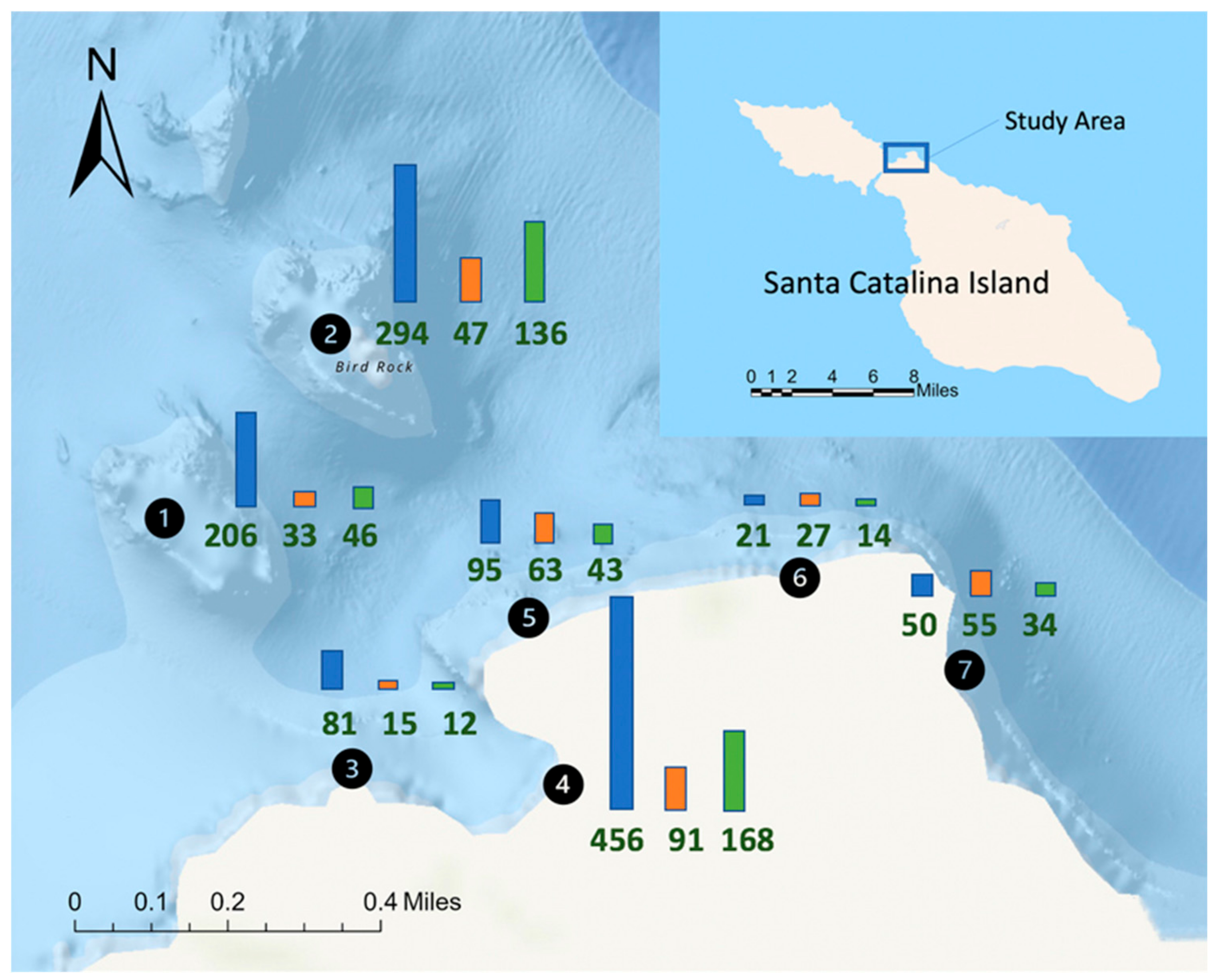 Diversity | Free Full-Text | Over, Under, Sideways and Down: Patterns of  Marine Species Richness in Nearshore Habitats off Santa Catalina Island,  California