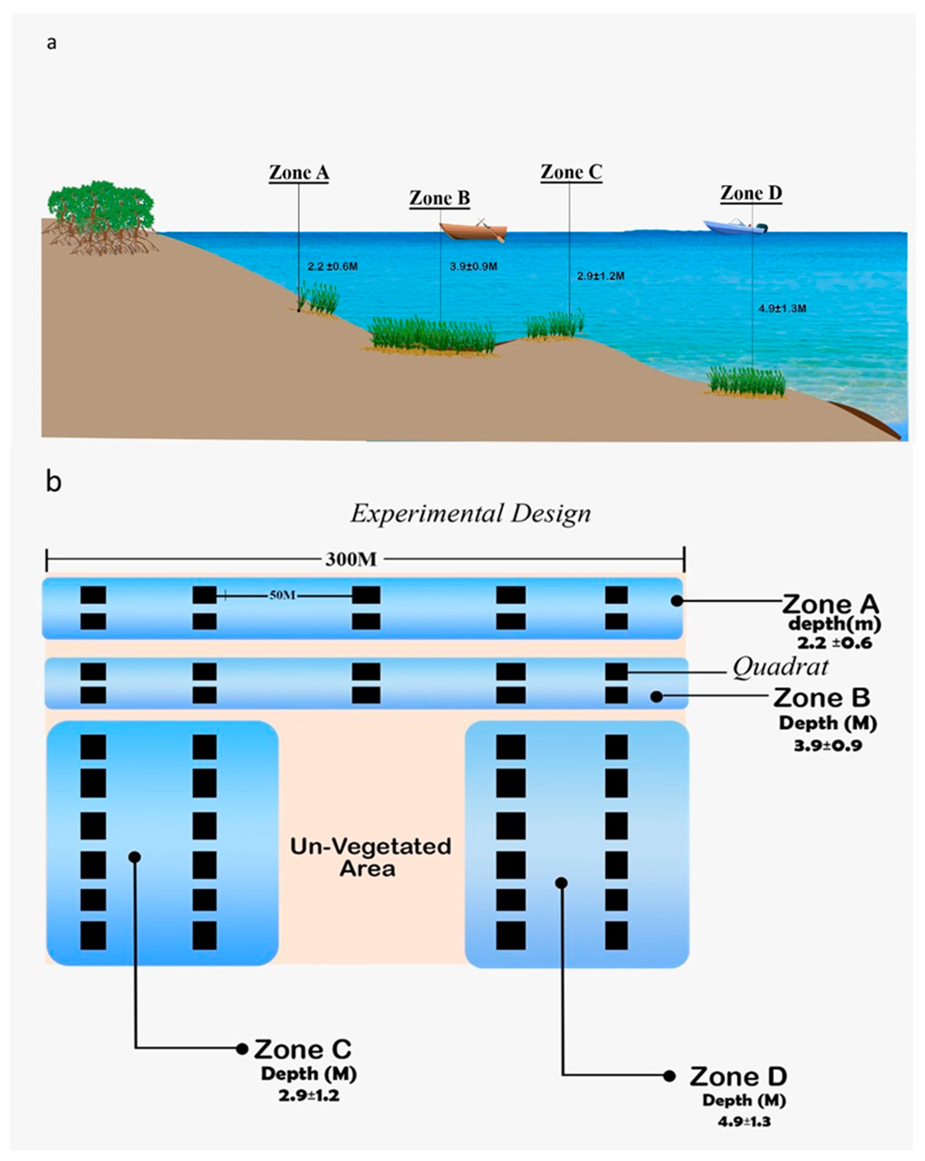 The Contribution Of Subtidal Seagrass Meadows To The Total Carbon The Contribution Of Subtidal Seagrass Meadows To The Total Carbon