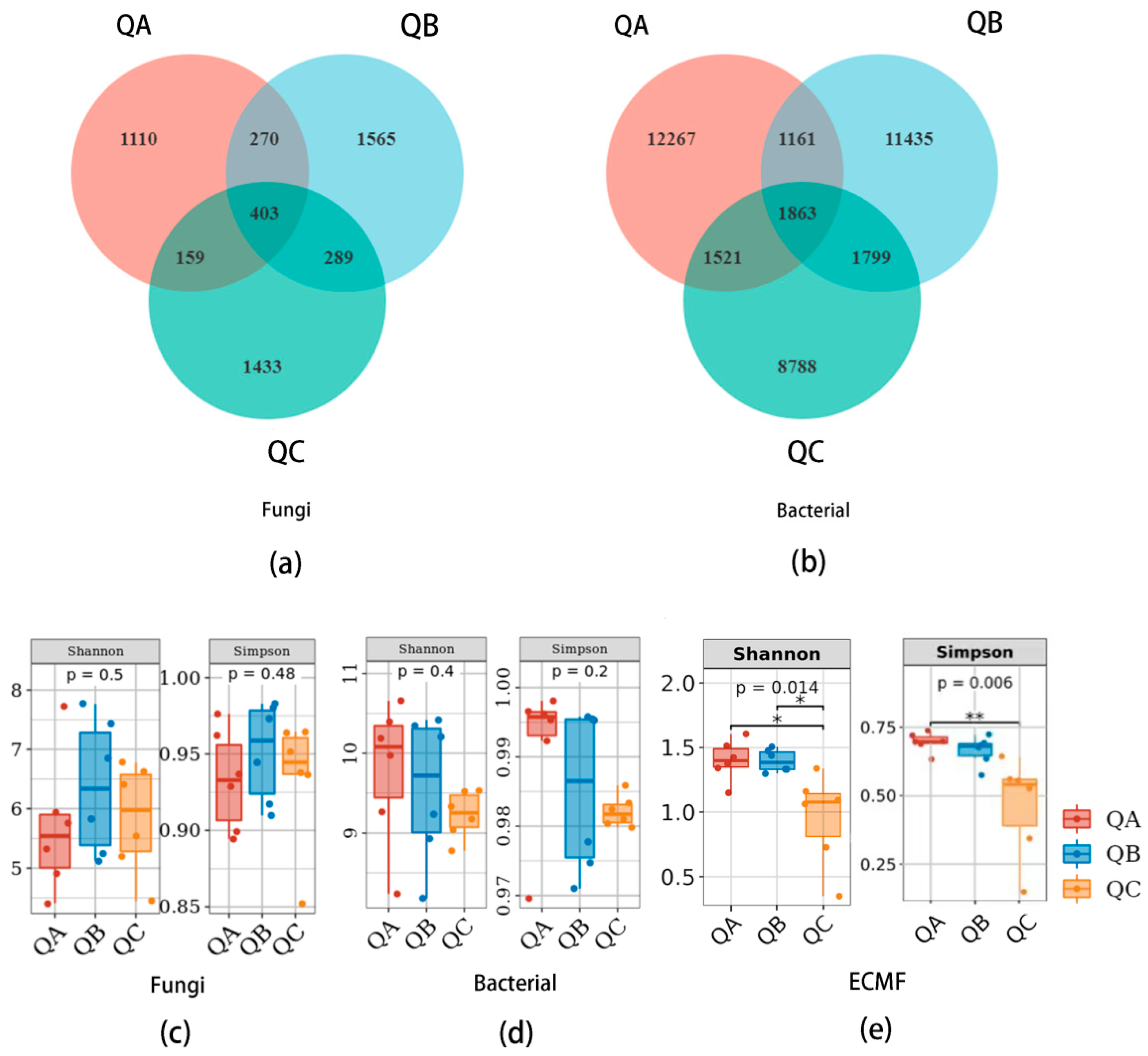 Diversity | Free Full-Text | Ectomycorrhizospheric Microbiome 