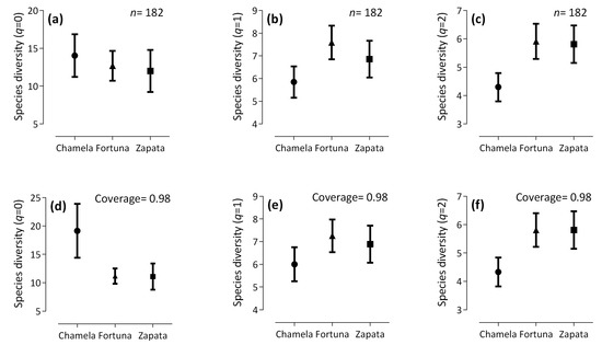 Bat Species Diversity and Abundance of Trophic Guilds after a Major ...
