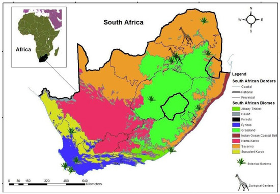 Diversity | Free Full-Text | The Diversity of Alien Plant Species in ...