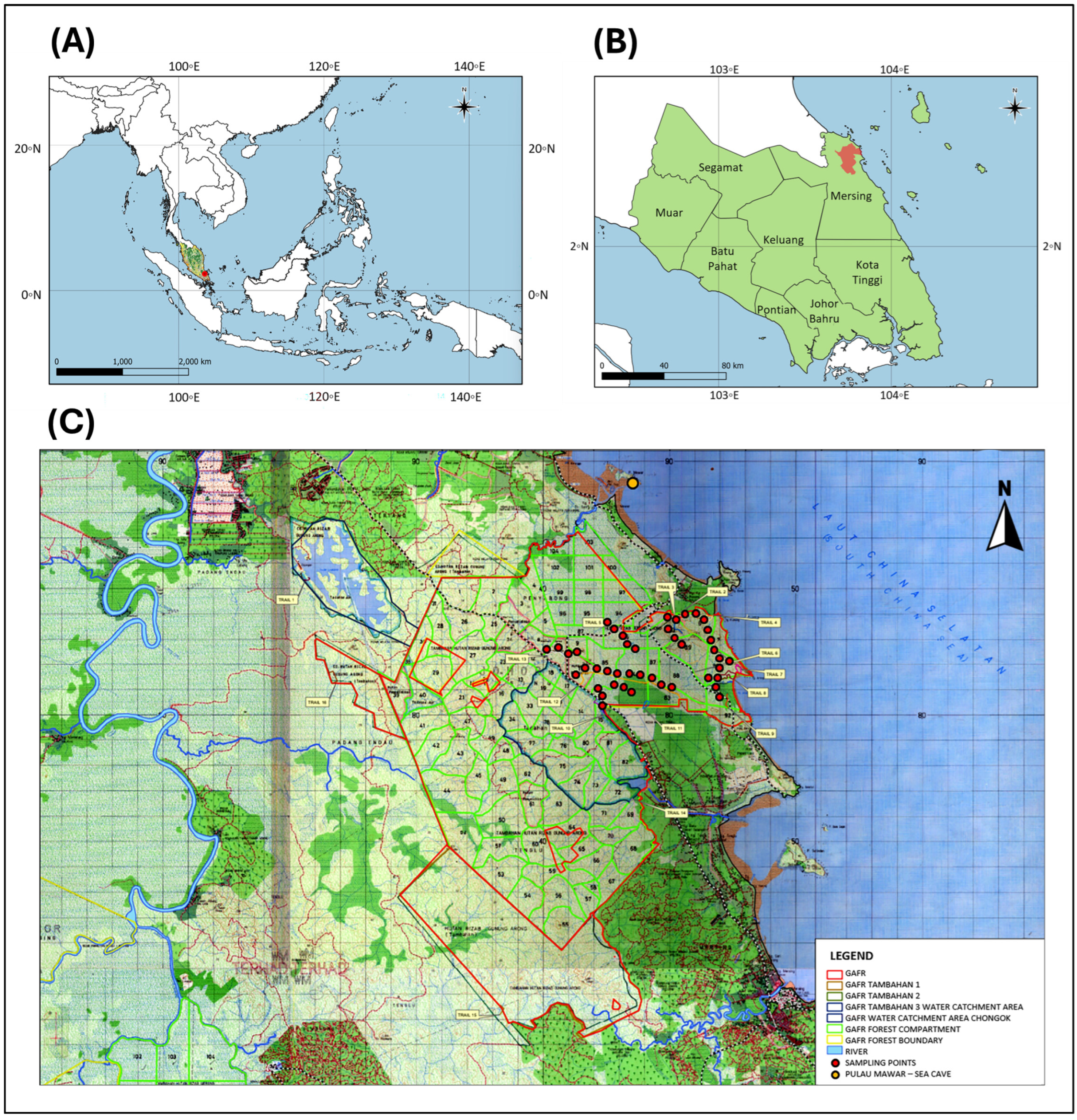 Bat Diversity in Heath and Peat Swamp Forests of Gunung Arong Forest ...