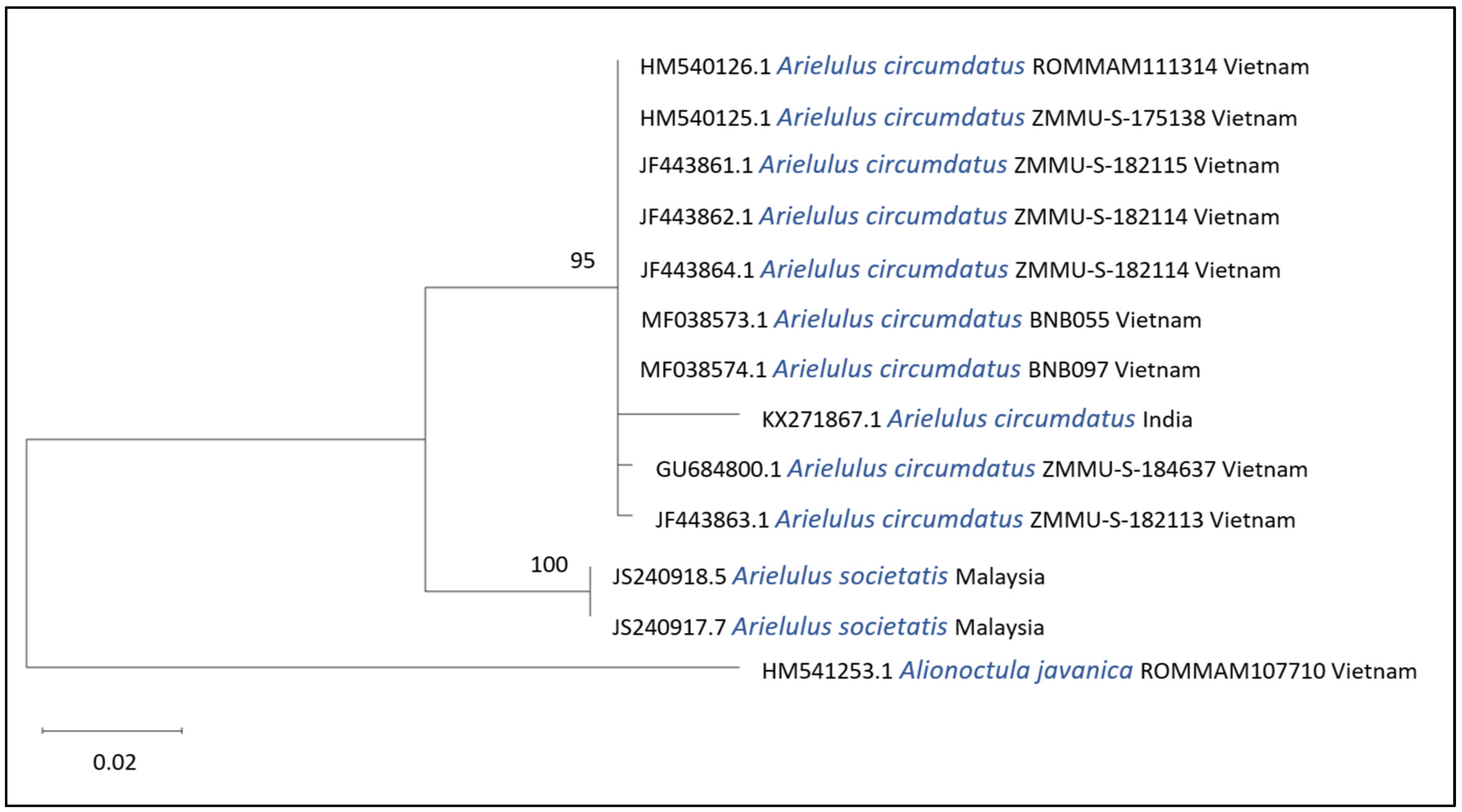 Bat Diversity in Heath and Peat Swamp Forests of Gunung Arong Forest ...