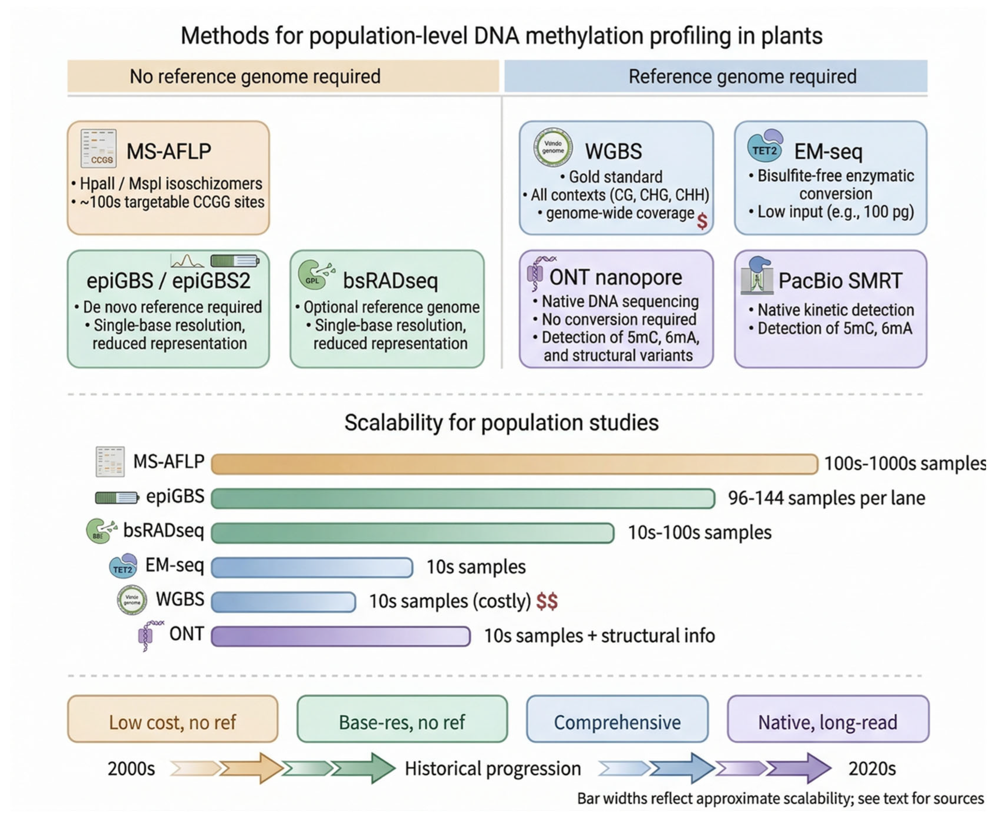 Epigenetic Variation in Plant Populations: DNA Methylation as a Driver ...