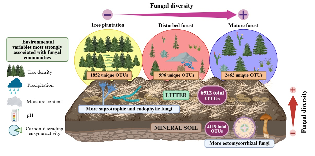 Fungal Diversity and Environmental Drivers in Soil and Litter Across a ...
