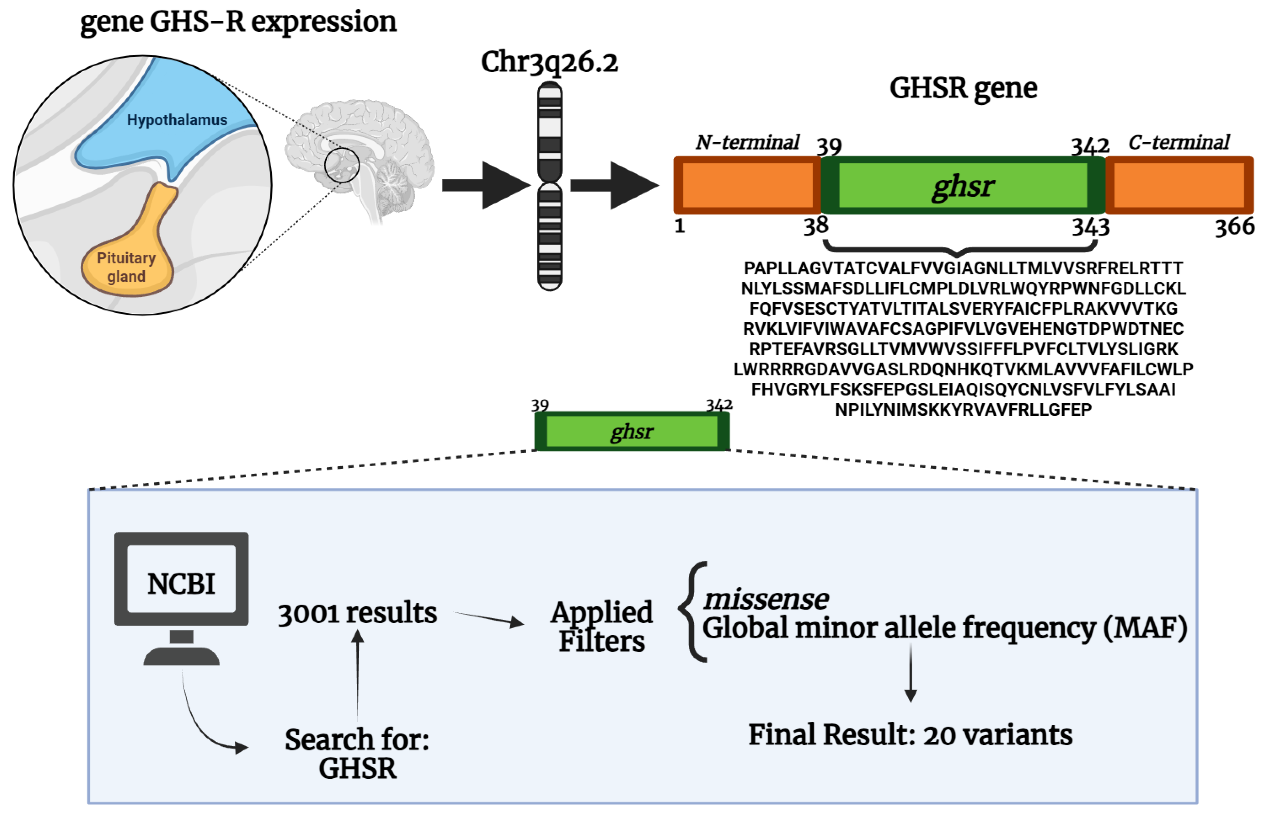 Computational Analysis of Missense Single Nucleotide Variants (SNVs) in ...
