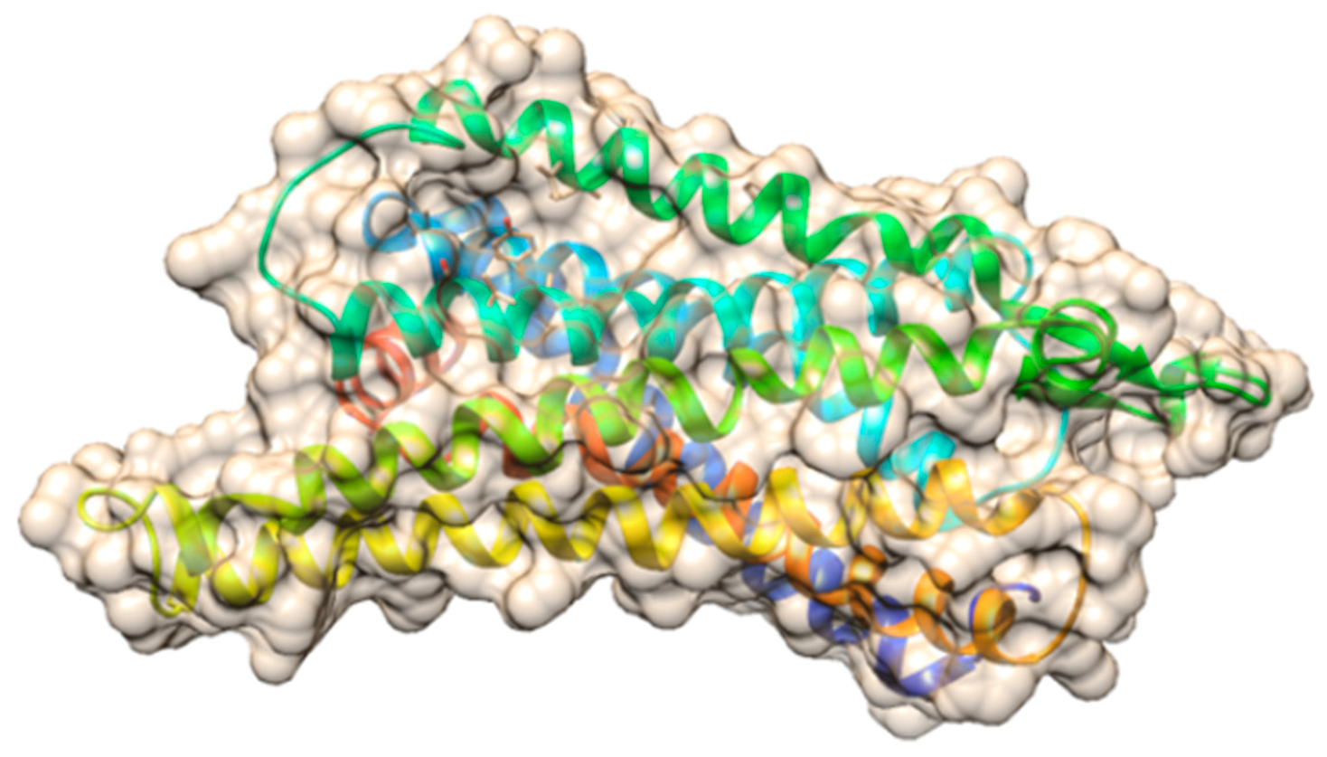 Computational Analysis of Missense Single Nucleotide Variants (SNVs) in ...