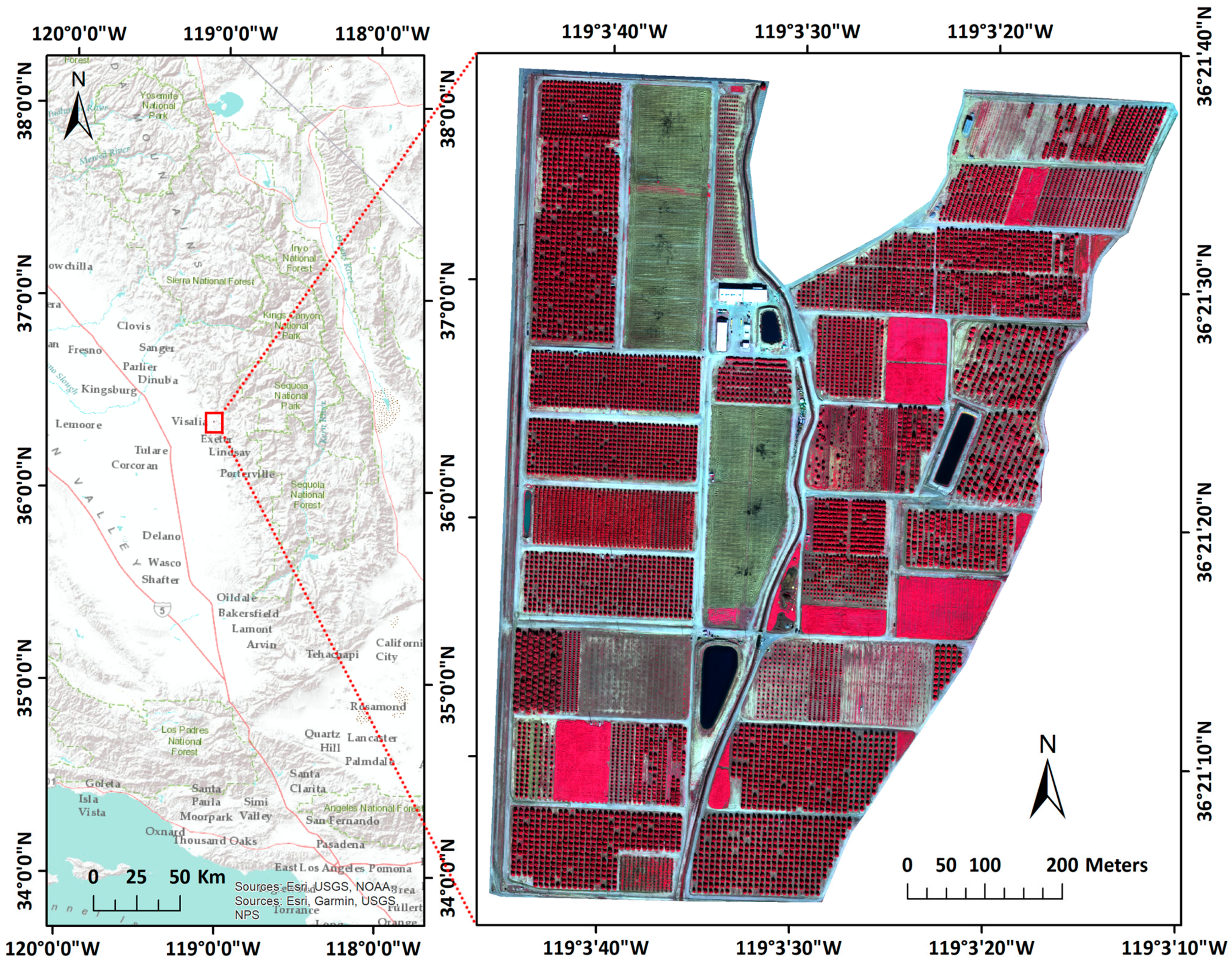 Identification Of Citrus Trees From Unmanned Aerial Vehicle Imagery Identification Of Citrus Trees From Unmanned Aerial Vehicle Imagery