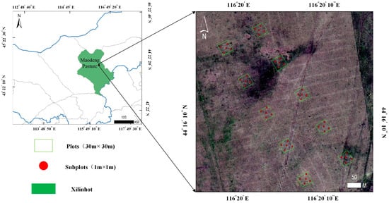 Artemisia Frigida Distribution Mapping in Grassland with Unmanned Aerial Vehicle Imagery and Deep Learning