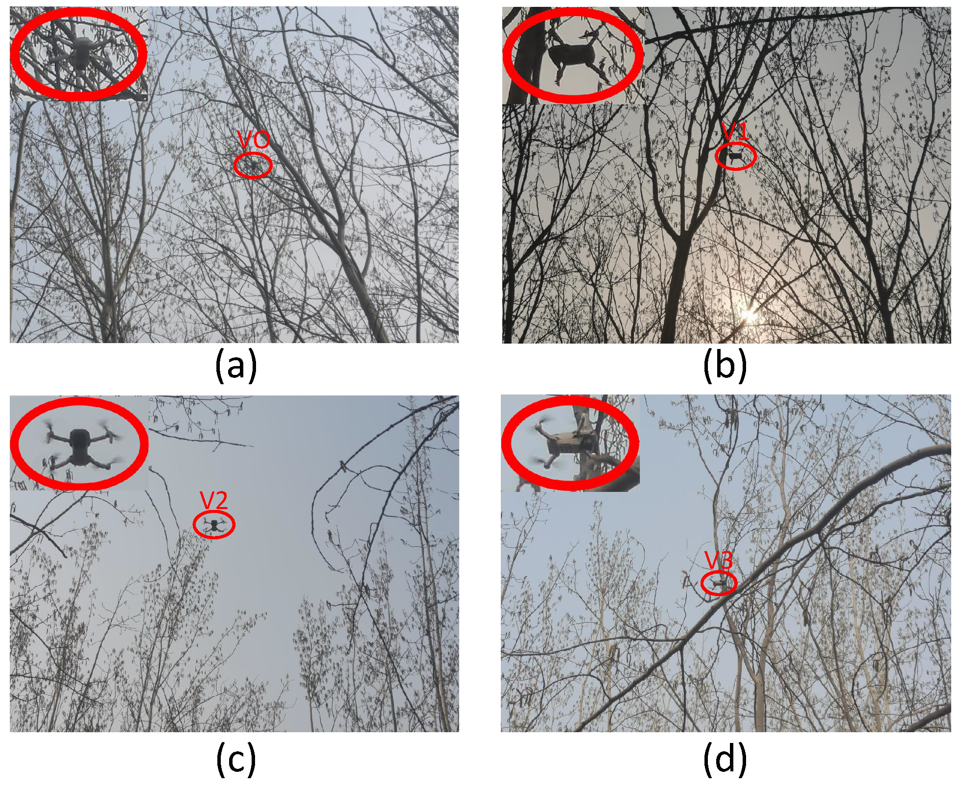 MVFF: Multi-View Feature Fusion Network for Small UAV Detection