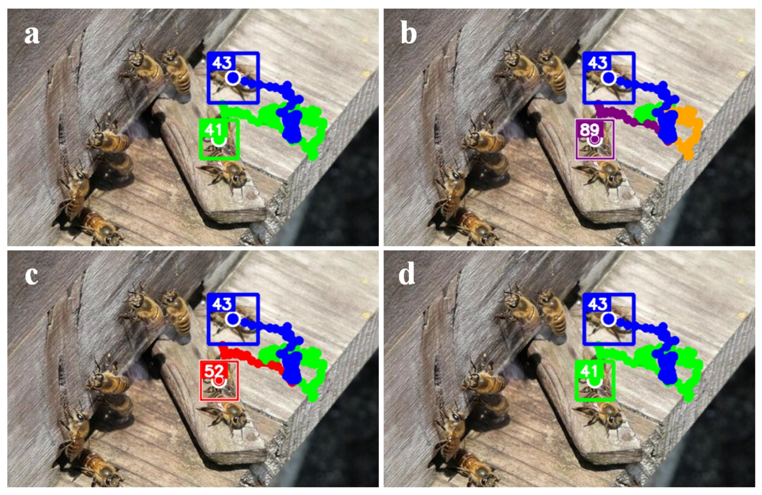 Robust Multi-Object Tracking in Dense Swarms with Query Propagation and ...