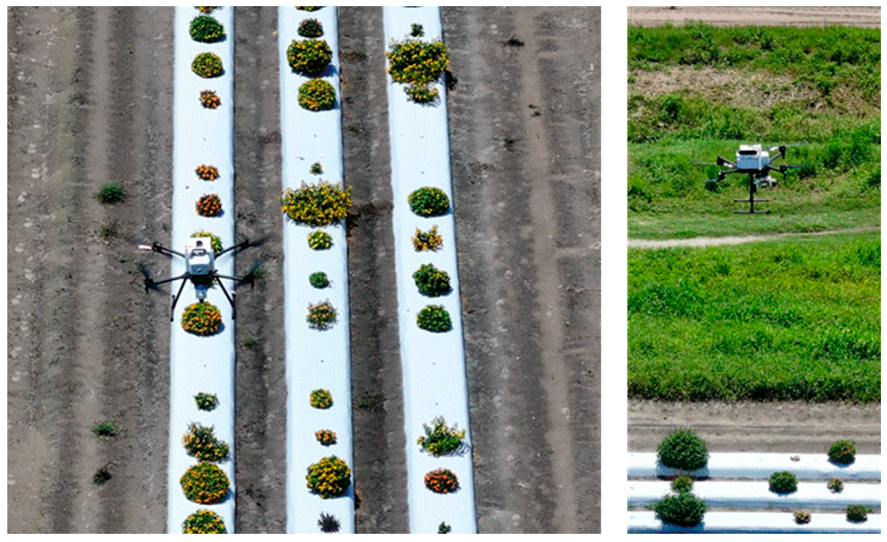 A Multi-Sensor UAV Platform: Design, Testing, and Application for High ...
